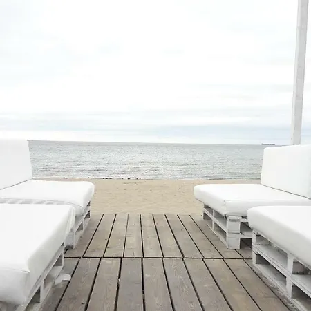 Perfekt 5 Morz Daire *